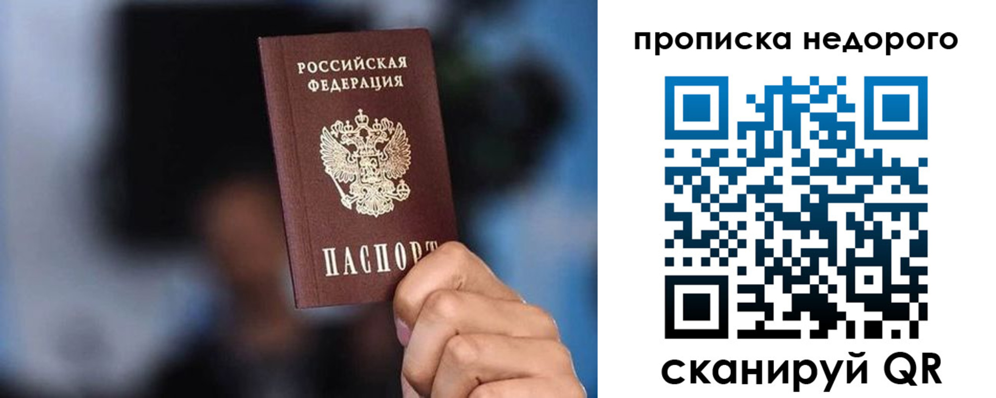 временная регистрация поиск в Ивантеевке